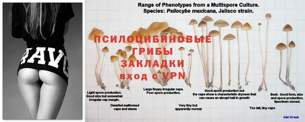 круглые Покров