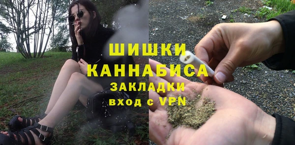стафф Покачи