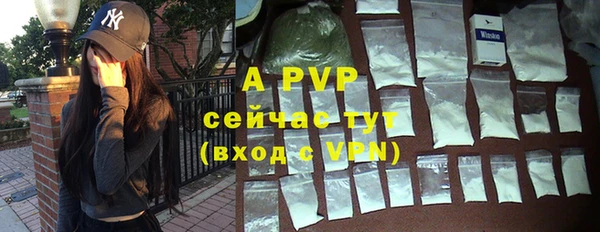 стафф Покачи