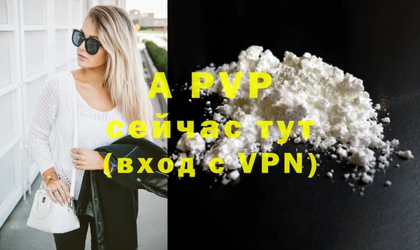 стафф Покачи